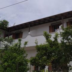 Arki Island-Katsavidis