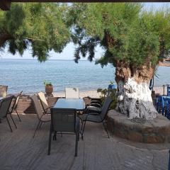 Beach Front Kato Zakros