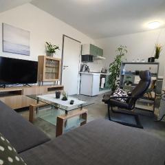 Ferienwohnung Elsa