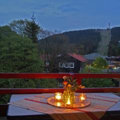 Bergblick471