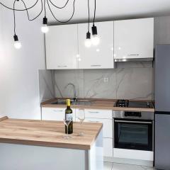 NEW Apartment Ema I
