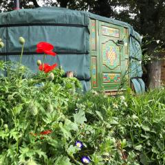 Mill Stream Yurt