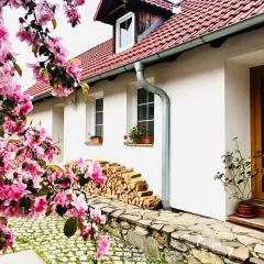 Apartmány Jílovice