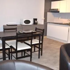 Studio classé de 39 m2 au pied des thermes