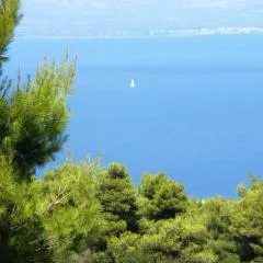Studio Xanthippe