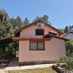 Studio apartman Lorena