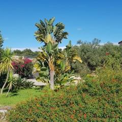 Villa Enea - ad uso esclusivo dei nostri ospiti