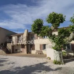 Le Micocoulier
