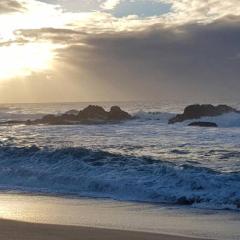 On the beach living! 12 Calamari