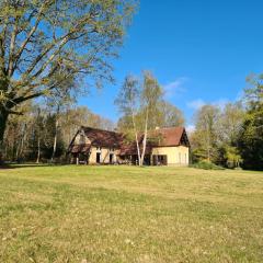 Gîte Vicq-sur-Nahon, 4 pièces, 8 personnes - FR-1-591-309