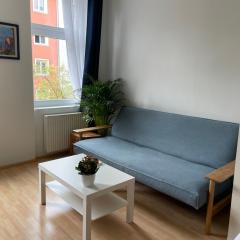 Central Sunny Flat with Free Parking