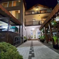 Vila Raysa si Andrei Costinesti