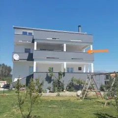 Ante Noa