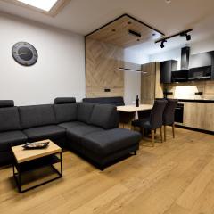 Moderne Wohnung mit einer wunderschönen Aussicht inkl Silvretta Premium Summer Card