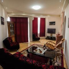 Sunny apartments. Tbilisi. 300 Aragveli