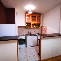 Appartement de 2 chambres avec vue sur la ville et wifi a Clermont Ferrand