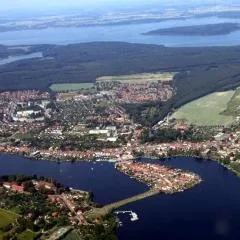 Katzensprung zum Wald