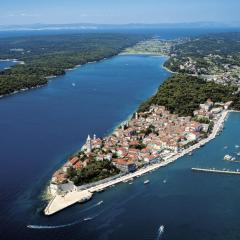 Holiday house in Supetarska Draga with terrace, W-LAN (4544-1)