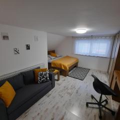 Penzion U zlaté collie