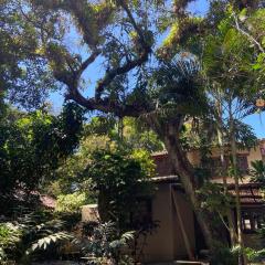 Casa incrível na beira do rio Caraíva