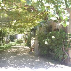 Vivienda tradicional con jardín y patio interior