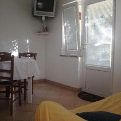 Apartment in Kustici with sea view, terrace, air conditioning, WiFi (3597-5)