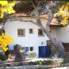 VILLA BLEUE - LES PINS