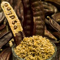 Holiday Home (139-2)