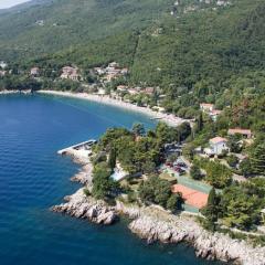 Holiday house in Opatija with balcony, air conditioning, WiFi, washing machine (4880-1)
