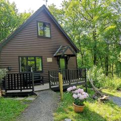 PrancingHare Lodge-Woodland Lodges-Pembrokshire