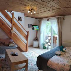 Privat Gazda Pension