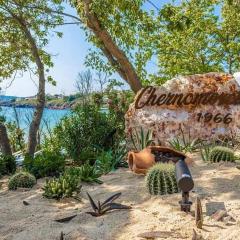 Captain's Island Deluxe