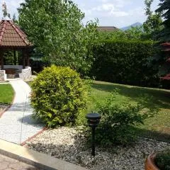Eger Napsugar