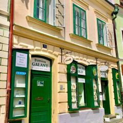 Apartman Galant