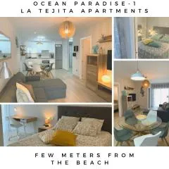Ocean Paradise 1 La Tejita few meters from the beach