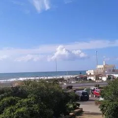 Roma Sea Dreaming