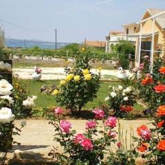 Apartment in Privlaka with sea view, balcony, air conditioning, W-LAN 667-3