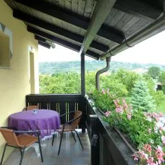 Ferienwohnung Weinbergblick