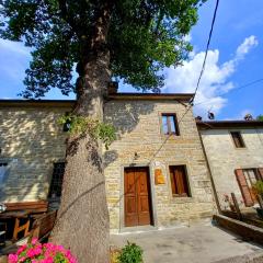 CASINA LA QUERCIA