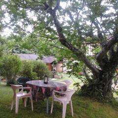 Gîte l'appel de la Forêt