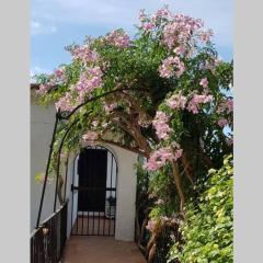 Fabulous refurbished apartment above private villa