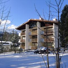 Apartment Rustica by Interhome