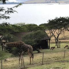 Hoopoe log cabin