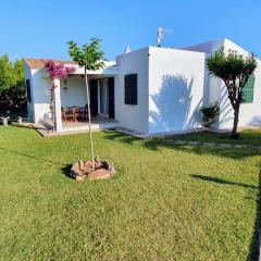 Las Golondrinas - RISSAGA