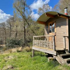 Cosy woodland off grid Shepherds Hut - Hazel