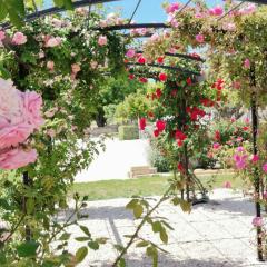 Gîte en Provence Lavande