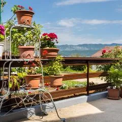 Appartment Rezika