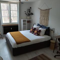 Appartement Spacieux et Cosy - Strasbourg Centre