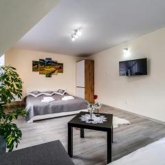 Apartament Polany