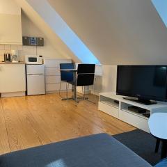 Charming Apartment in historic city center